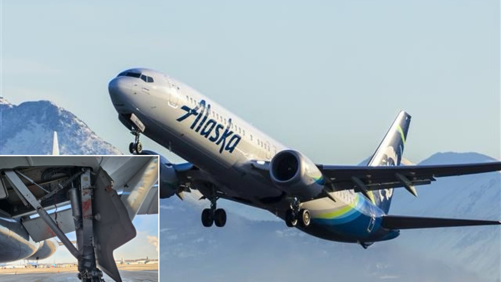 NTSB: Bird Strike Caused Engine Failure, Smoke Alert On Alaska Cargo A330 In Cincinnati