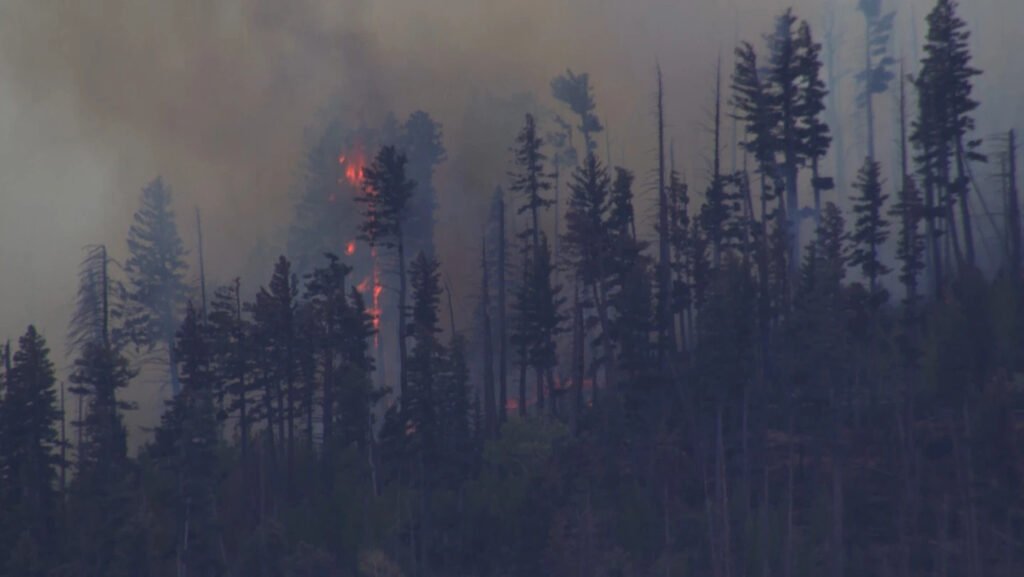 Ruidoso, United States: A medical transport aircraft operating in New Mexico crashed in rugged mountainous terrain near Ruidoso early Thursday morning, killing all four people on board and igniting a wildfire in the surrounding forest, according to local authorities and federal aviation officials. The aircraft, operated by Trans Aero MedEvac, a Beechcraft King Air 90 departed from Roswell Air Center and was en route to Sierra Blanca Regional Airport when communication and radar contact were lost shortly before dawn. Officials later received reports of both a missing aircraft and a fire burning in the Capitan Mountains near Ruidoso, prompting an extensive emergency response. Authorities said the aircraft failed to arrive at its scheduled destination, leading emergency protocols to be activated. Search teams located the wreckage between approximately 8 a.m. and 9 a.m. local time in steep, rocky terrain that responders described as difficult to access. Rescue crews reportedly had to hike nearly half a mile through mountainous conditions to reach the crash site. All four occupants were killed in the crash. Officials confirmed the victims were members of the flight crew and medical personnel involved in the transport mission. As of the latest official updates, authorities had not publicly identified the victims pending notification of their families. No patients were reported to be onboard the aircraft at the time of the accident. Lincoln County Sheriff Michael Wood described the incident as “a devastating loss,” while county officials urged the public to avoid the area to allow investigators and emergency crews to continue operations safely. Lincoln County Manager Jason Burns confirmed that the crash also triggered a wildfire that rapidly spread in dry and windy conditions. Officials said the blaze expanded to between 30 and 35 acres by midday Thursday, prompting concerns about further fire growth in the heavily forested region surrounding Lincoln National Forest. Local agencies and the U.S. Forest Service continued suppression efforts throughout the day. Speaking during a news conference, Burns said, “our hearts and prayers go out to the families, loved ones, friends and colleagues of those who lost their lives in this tragic incident.” The exact cause of the crash remains unknown. Officials have not indicated any evidence of mechanical failure, weather-related causes, or pilot error at this stage of the investigation. The Federal Aviation Administration and the National Transportation Safety Board have launched a formal investigation, with the NTSB expected to lead the inquiry into the circumstances surrounding the accident. Prior to Thursday’s crash, there were 25 fatal crashes of medical planes over the past 25 years that killed nearly 70 people, according to NTSB records. According to the operator, the aircraft had been conducting a medical transportation mission when it was reported overdue after communications and radar contact were lost. Trans Aero MedEvac stated that the company has served southeastern New Mexico and west Texas since 1966 and asked the public to keep the families of the crew members and responding personnel in their thoughts and prayers.