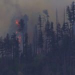 Ruidoso, United States: A medical transport aircraft operating in New Mexico crashed in rugged mountainous terrain near Ruidoso early Thursday morning, killing all four people on board and igniting a wildfire in the surrounding forest, according to local authorities and federal aviation officials. The aircraft, operated by Trans Aero MedEvac, a Beechcraft King Air 90 departed from Roswell Air Center and was en route to Sierra Blanca Regional Airport when communication and radar contact were lost shortly before dawn. Officials later received reports of both a missing aircraft and a fire burning in the Capitan Mountains near Ruidoso, prompting an extensive emergency response. Authorities said the aircraft failed to arrive at its scheduled destination, leading emergency protocols to be activated. Search teams located the wreckage between approximately 8 a.m. and 9 a.m. local time in steep, rocky terrain that responders described as difficult to access. Rescue crews reportedly had to hike nearly half a mile through mountainous conditions to reach the crash site. All four occupants were killed in the crash. Officials confirmed the victims were members of the flight crew and medical personnel involved in the transport mission. As of the latest official updates, authorities had not publicly identified the victims pending notification of their families. No patients were reported to be onboard the aircraft at the time of the accident. Lincoln County Sheriff Michael Wood described the incident as “a devastating loss,” while county officials urged the public to avoid the area to allow investigators and emergency crews to continue operations safely. Lincoln County Manager Jason Burns confirmed that the crash also triggered a wildfire that rapidly spread in dry and windy conditions. Officials said the blaze expanded to between 30 and 35 acres by midday Thursday, prompting concerns about further fire growth in the heavily forested region surrounding Lincoln National Forest. Local agencies and the U.S. Forest Service continued suppression efforts throughout the day. Speaking during a news conference, Burns said, “our hearts and prayers go out to the families, loved ones, friends and colleagues of those who lost their lives in this tragic incident.” The exact cause of the crash remains unknown. Officials have not indicated any evidence of mechanical failure, weather-related causes, or pilot error at this stage of the investigation. The Federal Aviation Administration and the National Transportation Safety Board have launched a formal investigation, with the NTSB expected to lead the inquiry into the circumstances surrounding the accident. Prior to Thursday’s crash, there were 25 fatal crashes of medical planes over the past 25 years that killed nearly 70 people, according to NTSB records. According to the operator, the aircraft had been conducting a medical transportation mission when it was reported overdue after communications and radar contact were lost. Trans Aero MedEvac stated that the company has served southeastern New Mexico and west Texas since 1966 and asked the public to keep the families of the crew members and responding personnel in their thoughts and prayers.