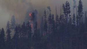 Ruidoso, United States: A medical transport aircraft operating in New Mexico crashed in rugged mountainous terrain near Ruidoso early Thursday morning, killing all four people on board and igniting a wildfire in the surrounding forest, according to local authorities and federal aviation officials. The aircraft, operated by Trans Aero MedEvac, a Beechcraft King Air 90 departed from Roswell Air Center and was en route to Sierra Blanca Regional Airport when communication and radar contact were lost shortly before dawn. Officials later received reports of both a missing aircraft and a fire burning in the Capitan Mountains near Ruidoso, prompting an extensive emergency response. Authorities said the aircraft failed to arrive at its scheduled destination, leading emergency protocols to be activated. Search teams located the wreckage between approximately 8 a.m. and 9 a.m. local time in steep, rocky terrain that responders described as difficult to access. Rescue crews reportedly had to hike nearly half a mile through mountainous conditions to reach the crash site. All four occupants were killed in the crash. Officials confirmed the victims were members of the flight crew and medical personnel involved in the transport mission. As of the latest official updates, authorities had not publicly identified the victims pending notification of their families. No patients were reported to be onboard the aircraft at the time of the accident. Lincoln County Sheriff Michael Wood described the incident as “a devastating loss,” while county officials urged the public to avoid the area to allow investigators and emergency crews to continue operations safely. Lincoln County Manager Jason Burns confirmed that the crash also triggered a wildfire that rapidly spread in dry and windy conditions. Officials said the blaze expanded to between 30 and 35 acres by midday Thursday, prompting concerns about further fire growth in the heavily forested region surrounding Lincoln National Forest. Local agencies and the U.S. Forest Service continued suppression efforts throughout the day. Speaking during a news conference, Burns said, “our hearts and prayers go out to the families, loved ones, friends and colleagues of those who lost their lives in this tragic incident.” The exact cause of the crash remains unknown. Officials have not indicated any evidence of mechanical failure, weather-related causes, or pilot error at this stage of the investigation. The Federal Aviation Administration and the National Transportation Safety Board have launched a formal investigation, with the NTSB expected to lead the inquiry into the circumstances surrounding the accident. Prior to Thursday’s crash, there were 25 fatal crashes of medical planes over the past 25 years that killed nearly 70 people, according to NTSB records. According to the operator, the aircraft had been conducting a medical transportation mission when it was reported overdue after communications and radar contact were lost. Trans Aero MedEvac stated that the company has served southeastern New Mexico and west Texas since 1966 and asked the public to keep the families of the crew members and responding personnel in their thoughts and prayers.