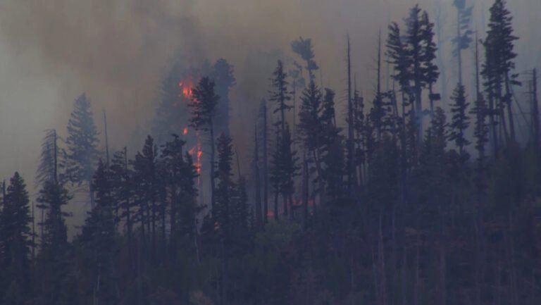 Ruidoso, United States: A medical transport aircraft operating in New Mexico crashed in rugged mountainous terrain near Ruidoso early Thursday morning, killing all four people on board and igniting a wildfire in the surrounding forest, according to local authorities and federal aviation officials. The aircraft, operated by Trans Aero MedEvac, a Beechcraft King Air 90 departed from Roswell Air Center and was en route to Sierra Blanca Regional Airport when communication and radar contact were lost shortly before dawn. Officials later received reports of both a missing aircraft and a fire burning in the Capitan Mountains near Ruidoso, prompting an extensive emergency response. Authorities said the aircraft failed to arrive at its scheduled destination, leading emergency protocols to be activated. Search teams located the wreckage between approximately 8 a.m. and 9 a.m. local time in steep, rocky terrain that responders described as difficult to access. Rescue crews reportedly had to hike nearly half a mile through mountainous conditions to reach the crash site. All four occupants were killed in the crash. Officials confirmed the victims were members of the flight crew and medical personnel involved in the transport mission. As of the latest official updates, authorities had not publicly identified the victims pending notification of their families. No patients were reported to be onboard the aircraft at the time of the accident. Lincoln County Sheriff Michael Wood described the incident as “a devastating loss,” while county officials urged the public to avoid the area to allow investigators and emergency crews to continue operations safely. Lincoln County Manager Jason Burns confirmed that the crash also triggered a wildfire that rapidly spread in dry and windy conditions. Officials said the blaze expanded to between 30 and 35 acres by midday Thursday, prompting concerns about further fire growth in the heavily forested region surrounding Lincoln National Forest. Local agencies and the U.S. Forest Service continued suppression efforts throughout the day. Speaking during a news conference, Burns said, “our hearts and prayers go out to the families, loved ones, friends and colleagues of those who lost their lives in this tragic incident.” The exact cause of the crash remains unknown. Officials have not indicated any evidence of mechanical failure, weather-related causes, or pilot error at this stage of the investigation. The Federal Aviation Administration and the National Transportation Safety Board have launched a formal investigation, with the NTSB expected to lead the inquiry into the circumstances surrounding the accident. Prior to Thursday’s crash, there were 25 fatal crashes of medical planes over the past 25 years that killed nearly 70 people, according to NTSB records. According to the operator, the aircraft had been conducting a medical transportation mission when it was reported overdue after communications and radar contact were lost. Trans Aero MedEvac stated that the company has served southeastern New Mexico and west Texas since 1966 and asked the public to keep the families of the crew members and responding personnel in their thoughts and prayers.