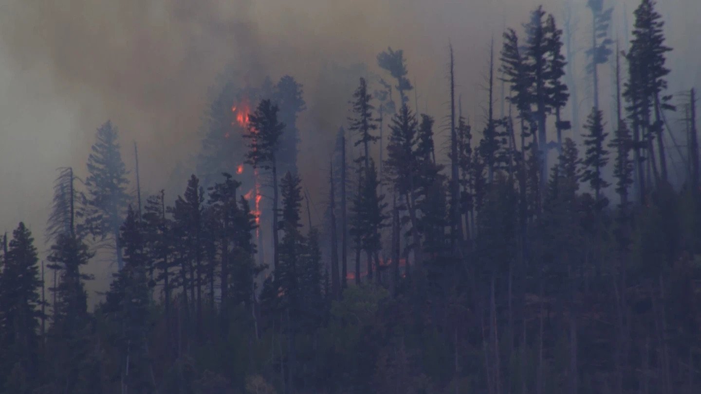 Medical Transport Plane Crash In New Mexico Kills Four, Ignites Forest Fire