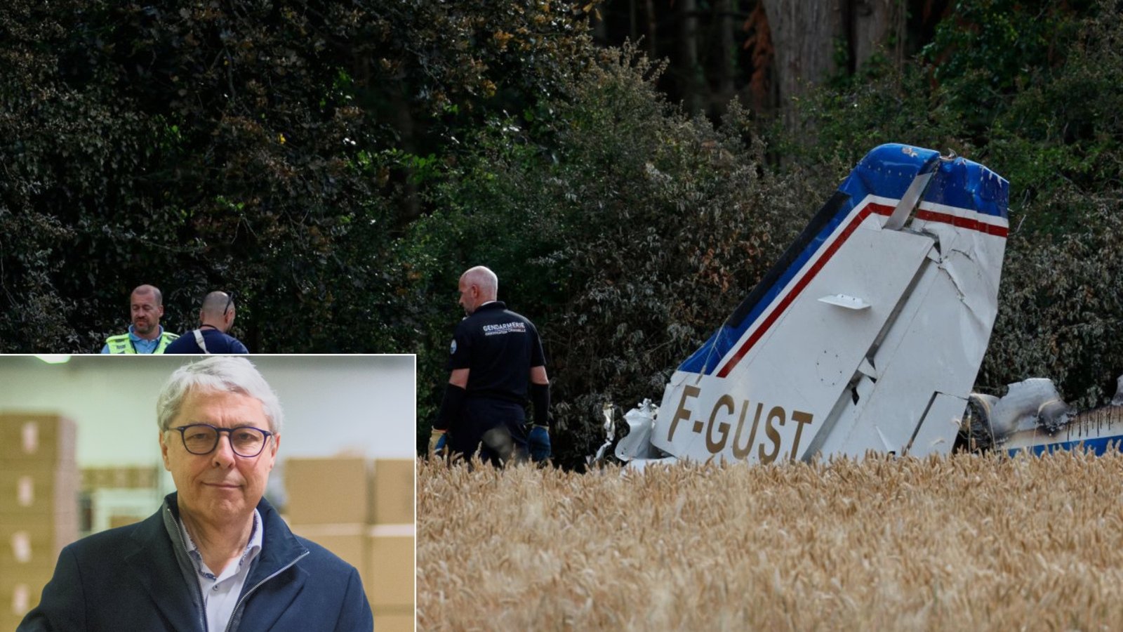 Ubisoft Co-Founder Claude Guillemot Among Two Killed In Fatal Cessna 421 Crash
