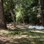 Bowie, United States: Three people were killed after a single-engine Piper PA-28-181 Archer II crashed into a wooded area near a residential neighborhood and playground in Bowie, Maryland, late on June 20, prompting a multi-agency overnight search and a federal investigation into the cause of the accident. According to Maryland State Police (MSP), the aircraft went down at approximately 11:30 p.m. local time in a wooded section of Archer Park near Scarlett Oak Court, just east of Washington, D.C. The aircraft, identified as a Piper PA-28-181 Archer II bearing registration N249WF, was operating a flight from Ocean City, New Jersey, to Montgomery County Airpark in Gaithersburg, Maryland. Authorities said the aircraft was believed to be associated with a Montgomery County-based flight school named Washington International Flight Academy and may have been conducting a training flight at the time of the accident. All three occupants onboard the pilot and two adult passengers were fatally injured. Emergency medical personnel pronounced them dead at the scene. Authorities have not yet publicly released their identities pending notification of next of kin. The crash occurred only a short distance from homes in a townhouse community and near a neighborhood playground. No injuries were reported among residents on the ground. "We are very fortunate that nobody else was injured in this crash," Maryland State Police spokesperson Elena Russo said during a press briefing. "Of course, it's an absolute tragedy that we've lost three individuals in this incident, but we're also very fortunate that nobody else in the neighboring residential area was hurt." A large-scale search operation was immediately launched involving Maryland State Police, Prince George's County Police Department, Anne Arundel County Police Department, Bowie city officials, and Prince George's County Fire and EMS personnel. Ground units and aviation assets searched through the night before locating the wreckage at approximately 3:45 a.m. on June 21. Officials said darkness, dense vegetation, and the absence of eyewitness reports complicated search efforts and delayed the discovery of the aircraft. Residents living near the crash site reported hearing a loud boom shortly before midnight. Some initially believed the sound was fireworks or distant thunder. Photographs and video from the scene showed debris scattered across a wooded area, with some wreckage reportedly landing near a playground and in residential backyards. "It was an absolutely tragic incident," Russo said. "It could have been even worse because of the proximity to a town home community in Bowie." Aviation enthusiasts familiar with local flight operations also assisted in narrowing down the aircraft's last known location using publicly available flight-tracking data. One flight instructor told local media that he and several others followed the aircraft's final radar track into the wooded area while first responders were searching for the wreckage. At present, investigators have not identified a cause for the crash. Authorities have not disclosed whether the pilot reported any emergency or technical difficulties before the accident. Online flight-tracking enthusiasts have suggested the aircraft may have transmitted a 7700 emergency squawk and experienced a loss of altitude before impact. However, those observations have not been confirmed by investigators and remain unofficial. The National Transportation Safety Board (NTSB) and the Federal Aviation Administration (FAA) have opened a formal investigation. The NTSB is leading the inquiry and is expected to examine the aircraft's maintenance history, pilot qualifications, weather conditions, flight track data, air traffic communications, and wreckage evidence. An NTSB investigator was expected to arrive at the crash site on June 21. Federal investigators have indicated that no preliminary conclusions regarding the cause of the accident are available at this stage. The wreckage remains secured as investigators continue documenting evidence and reconstructing the aircraft's final moments.