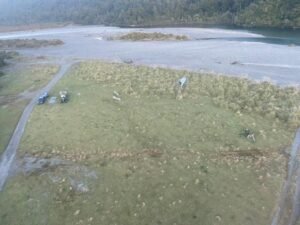 Paringa, New Zealand: A loose maintenance bolt that detached during flight caused an Airbus AS350BA helicopter to become increasingly difficult to control before it crashed near the Paringa River mouth on New Zealand's West Coast, according to final findings released by the Transport Accident Investigation Commission (TAIC). The accident occurred on July 20, 2024, while an Amuri Helicopters Airbus AS350BA, registration ZK-HJM, was being flown from Queenstown to Franz Josef following maintenance work performed at Queenstown Aerodrome. The helicopter was carrying a pilot and one passenger. Both occupants sustained minor injuries and were transported to hospital, while the aircraft suffered substantial damage. According to the investigation, engineers from Salus Aviation had swapped the helicopter's left and right hydraulic servo actuators during scheduled maintenance. However, a critical securing bolt on the lower attachment point of the left-hand hydraulic servo actuator was not properly secured before the aircraft was returned to service. Investigators determined that the associated nut had not been tightened to the required torque and that a locking pin was either missing or incorrectly installed. Although the work was subject to a mandatory duplicate inspection by a second engineer, the defect went undetected. Approximately 52 minutes into the flight, the pilot felt a sudden jolt and observed abnormal main rotor blade tracking. Seven minutes later, concerned by the abnormal indications, the pilot initiated a precautionary landing. During the descent, cyclic control forces increased significantly, particularly when attempting left control inputs. As the helicopter descended to between three and seven metres above the ground, it rolled and collided with terrain before coming to rest on its left side. TAIC found that the securing bolt eventually detached completely during the flight, significantly limiting the pilot's control of the helicopter. The investigation identified several human-factor issues that contributed to the maintenance error. The engineer responsible for the task was reportedly distracted by both a customer interaction and a hydraulic fluid spill while performing the work. Investigators also found the engineer was working under time pressure ahead of a planned holiday and did not sufficiently verify the maintenance task before completion. The second engineer responsible for the duplicate safety inspection also failed to identify the improperly secured hardware. The engineer told investigators they could not explain why the defect was missed but acknowledged experiencing broken sleep at the time, which may have affected performance. Following the accident, Salus Aviation conducted an internal investigation and implemented a series of corrective actions. The company temporarily removed the involved engineers from release-to-service inspection duties, introduced additional training, strengthened inspection and documentation procedures, implemented independent post-maintenance inspections, and established regular assurance audits. Measures aimed at reducing workplace distractions and improving engineering oversight were also introduced. TAIC concluded that the maintenance provider had adequately addressed the safety deficiencies identified during the investigation. As a result, the Commission did not issue any formal safety recommendations.