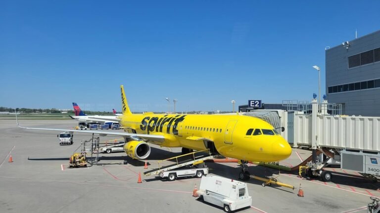 US Court Delays Google’s $10M Spirit Airlines Data Deal After Flight Attendants Object