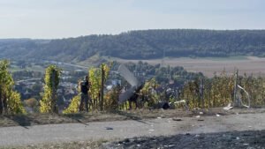 Two Onboard Killed After Ultralight Aircraft Crashes During Landing Approach In Germany